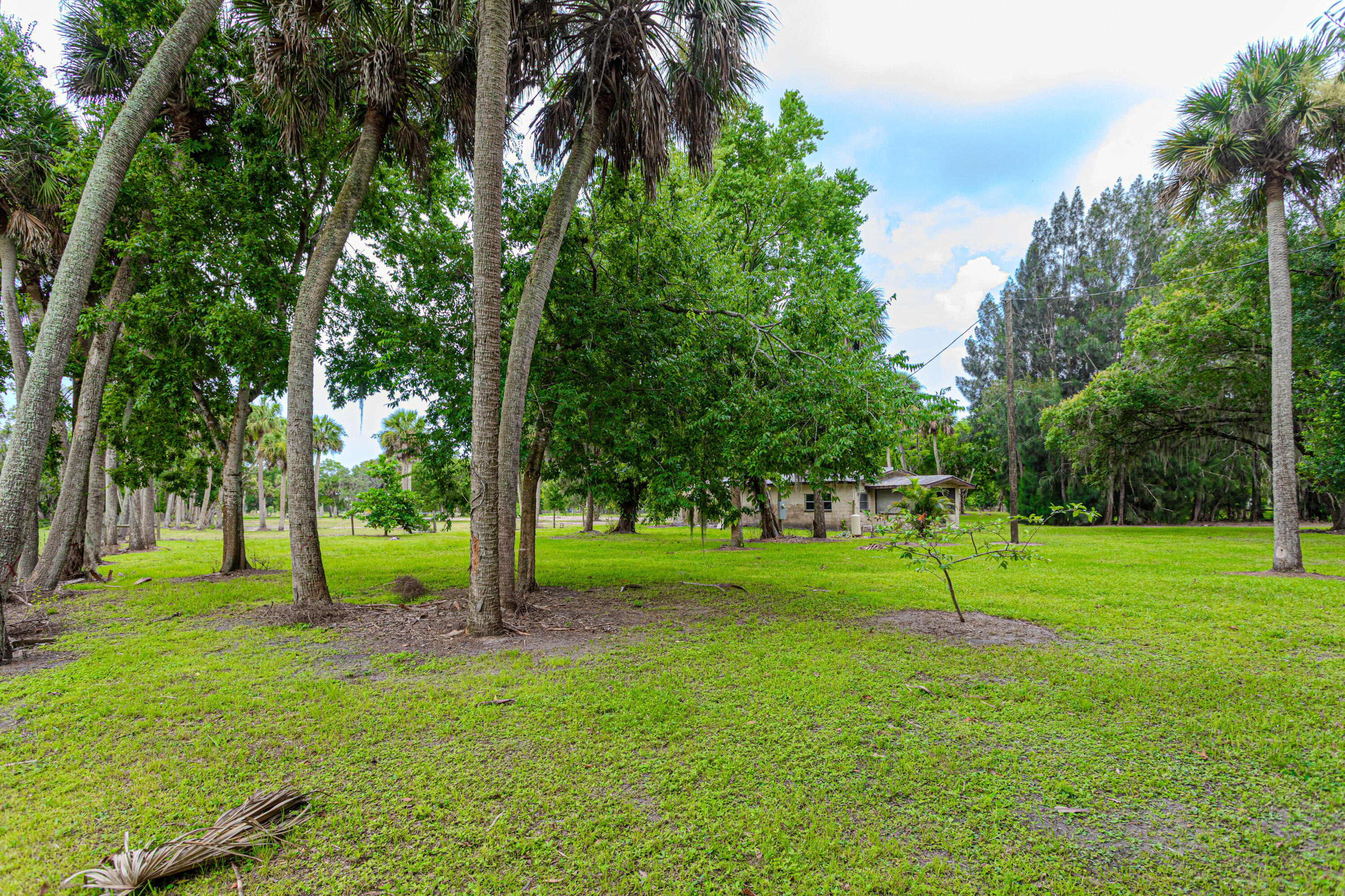 1100 Red Barn Rd N West Moore Haven, FL 33471 - Photo 7 of 24 a view of a backyard with large trees