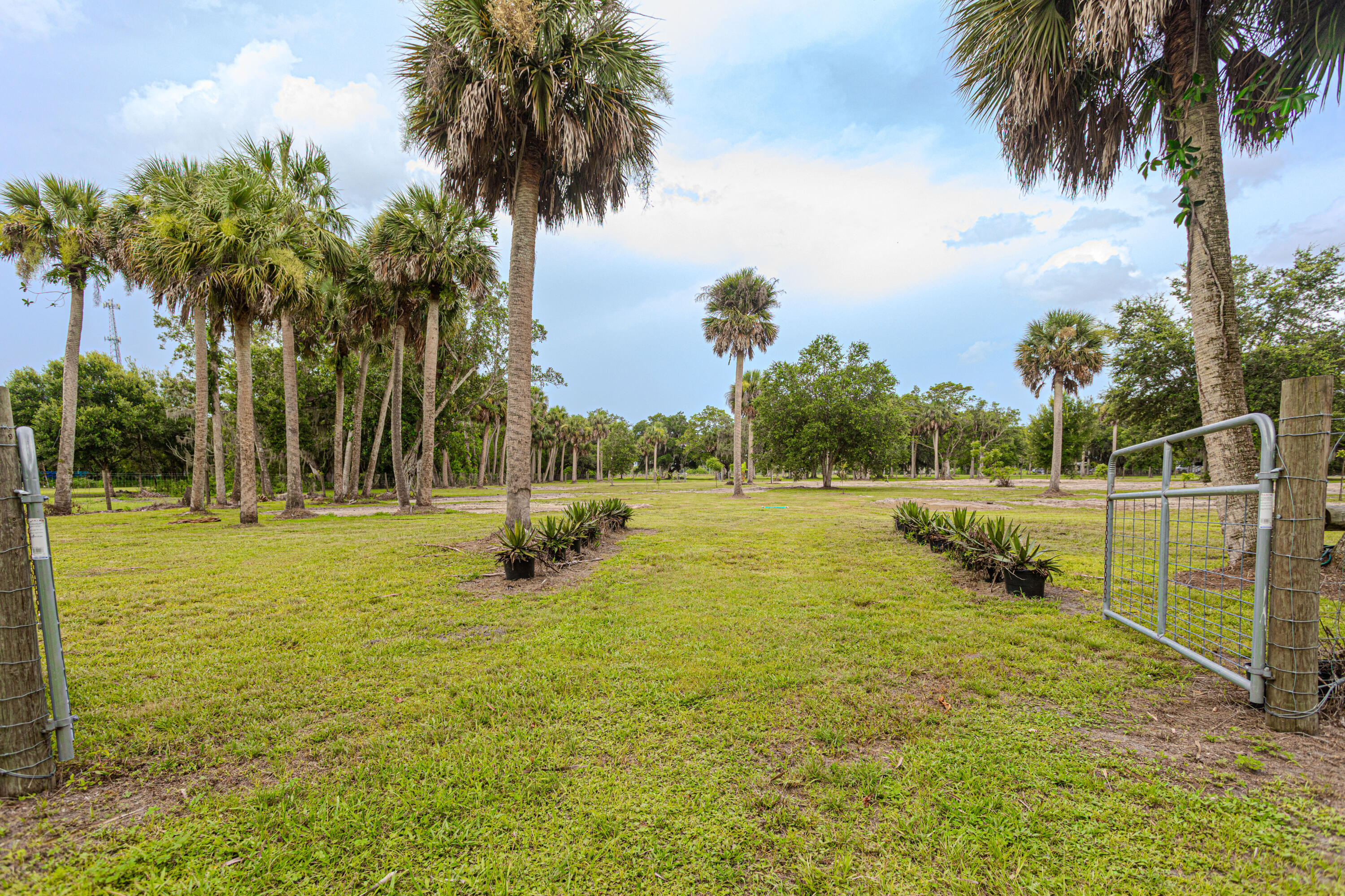 1100 Red Barn Rd N West Moore Haven, FL 33471 - Photo 9 of 24 a view of a swimming pool with a garden
