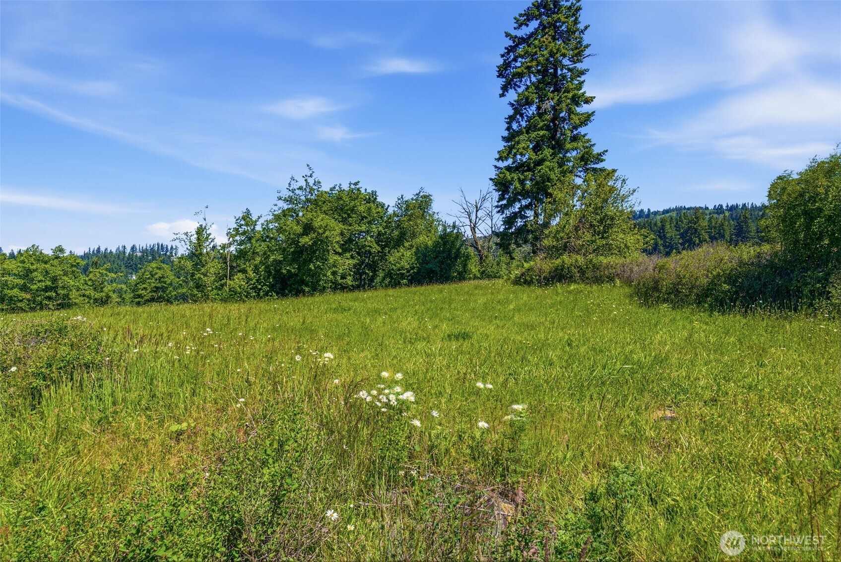 852 Confer Road Kalama, WA 98625 - Photo 16 of 16