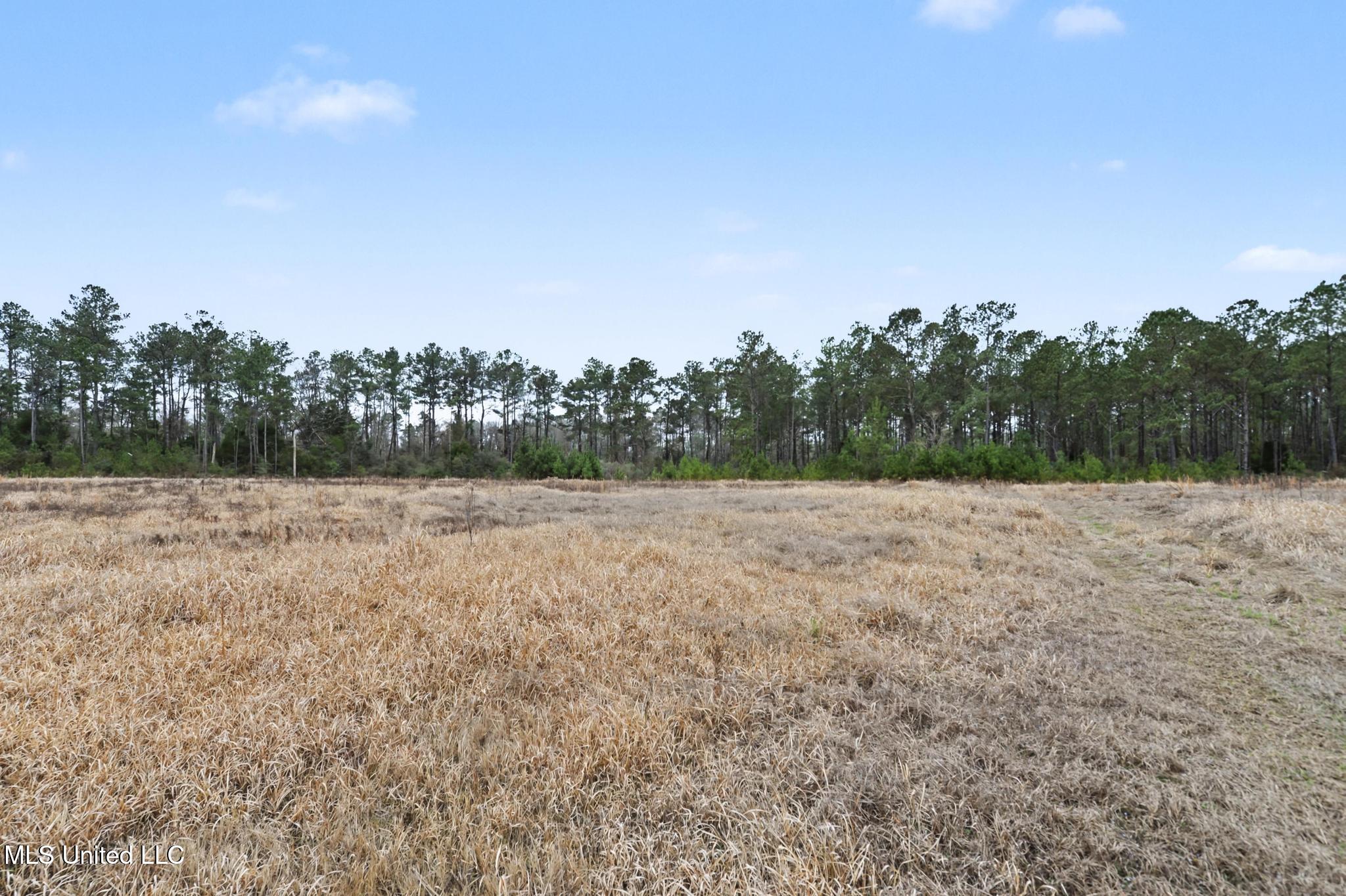 98 US Highway 98 Lucedale, MS 39452 - Photo 1 of 18 018