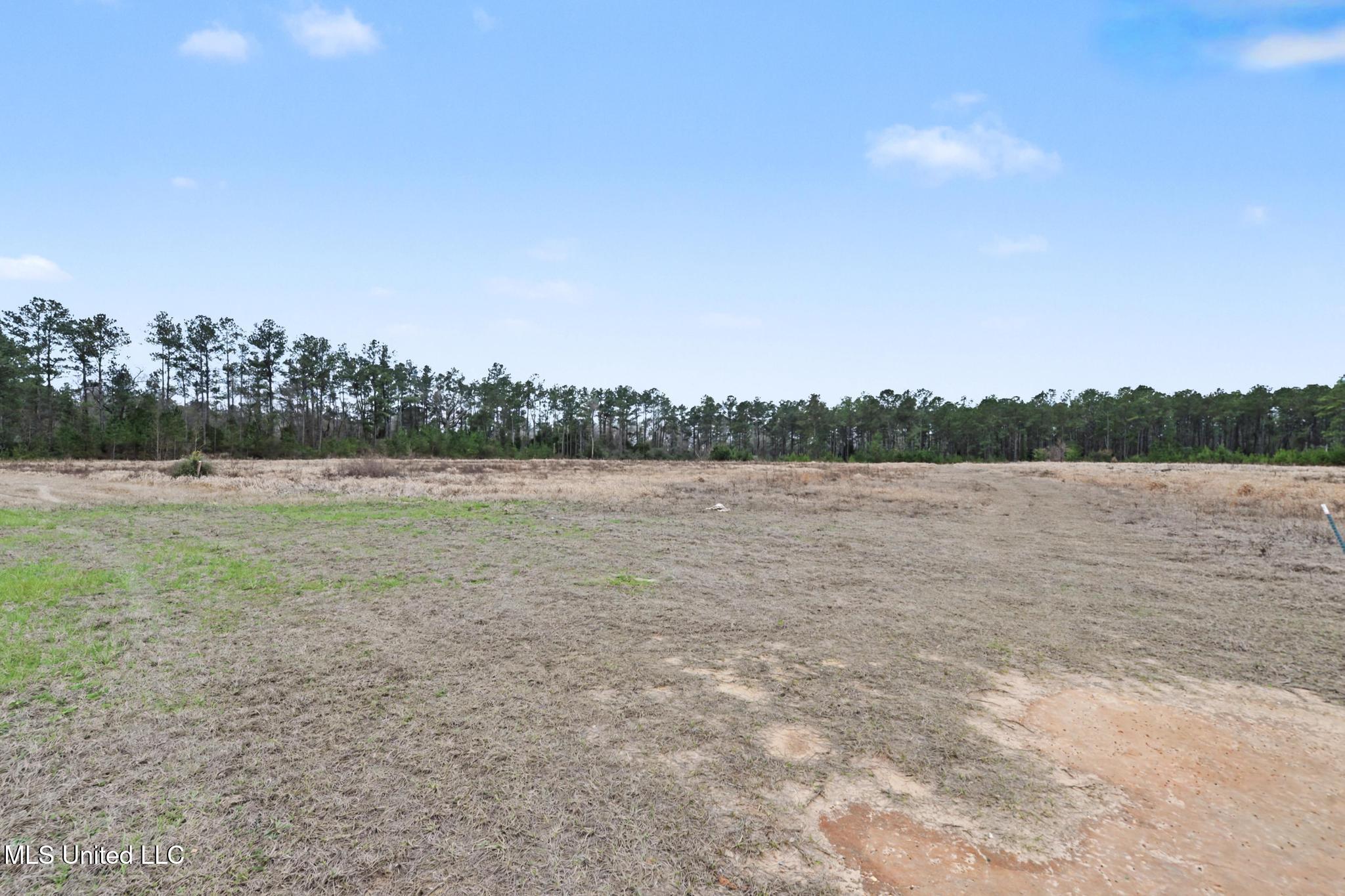 98 US Highway 98 Lucedale, MS 39452 - Photo 12 of 18 011