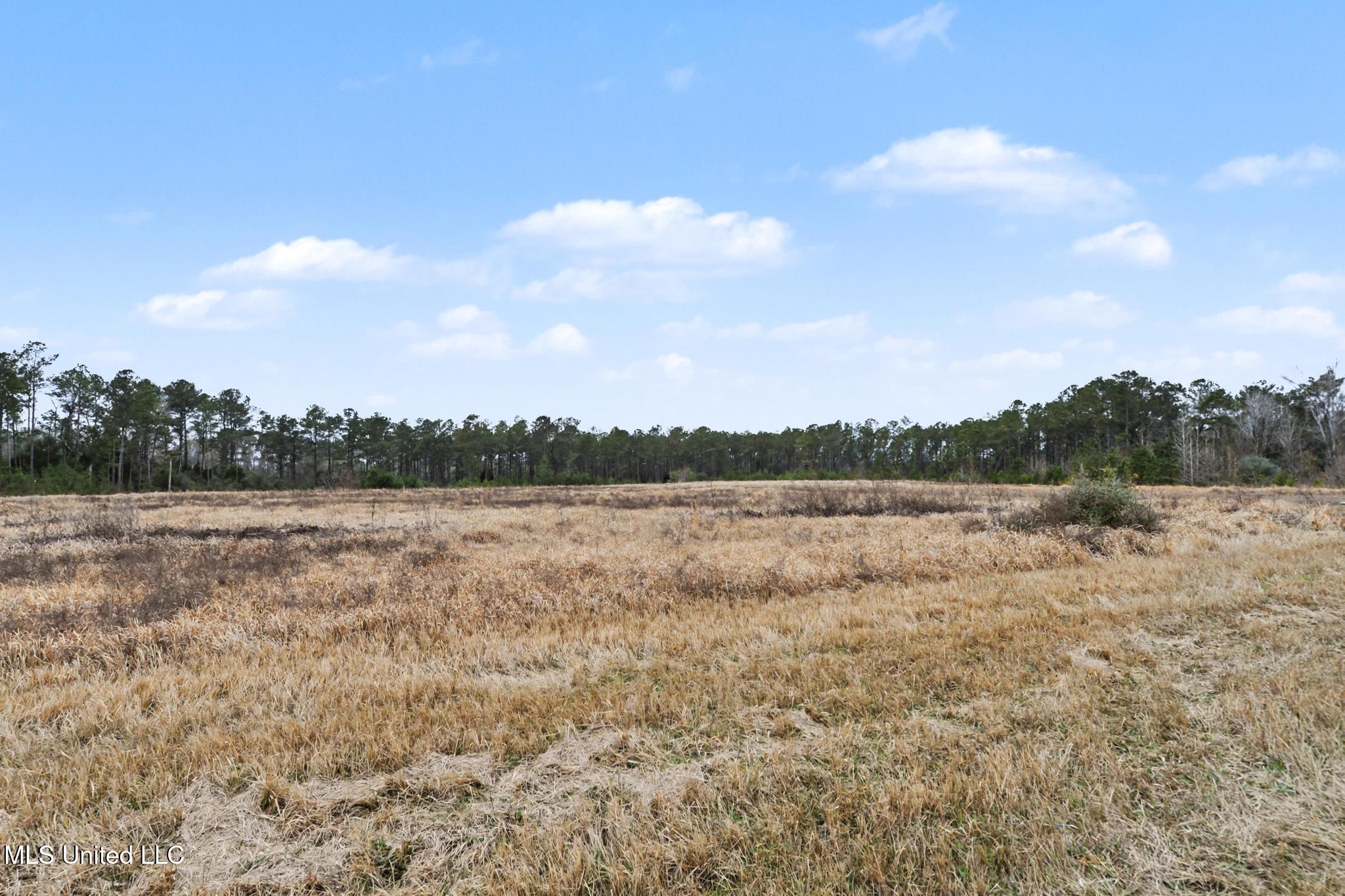 98 US Highway 98 Lucedale, MS 39452 - Photo 13 of 18 012