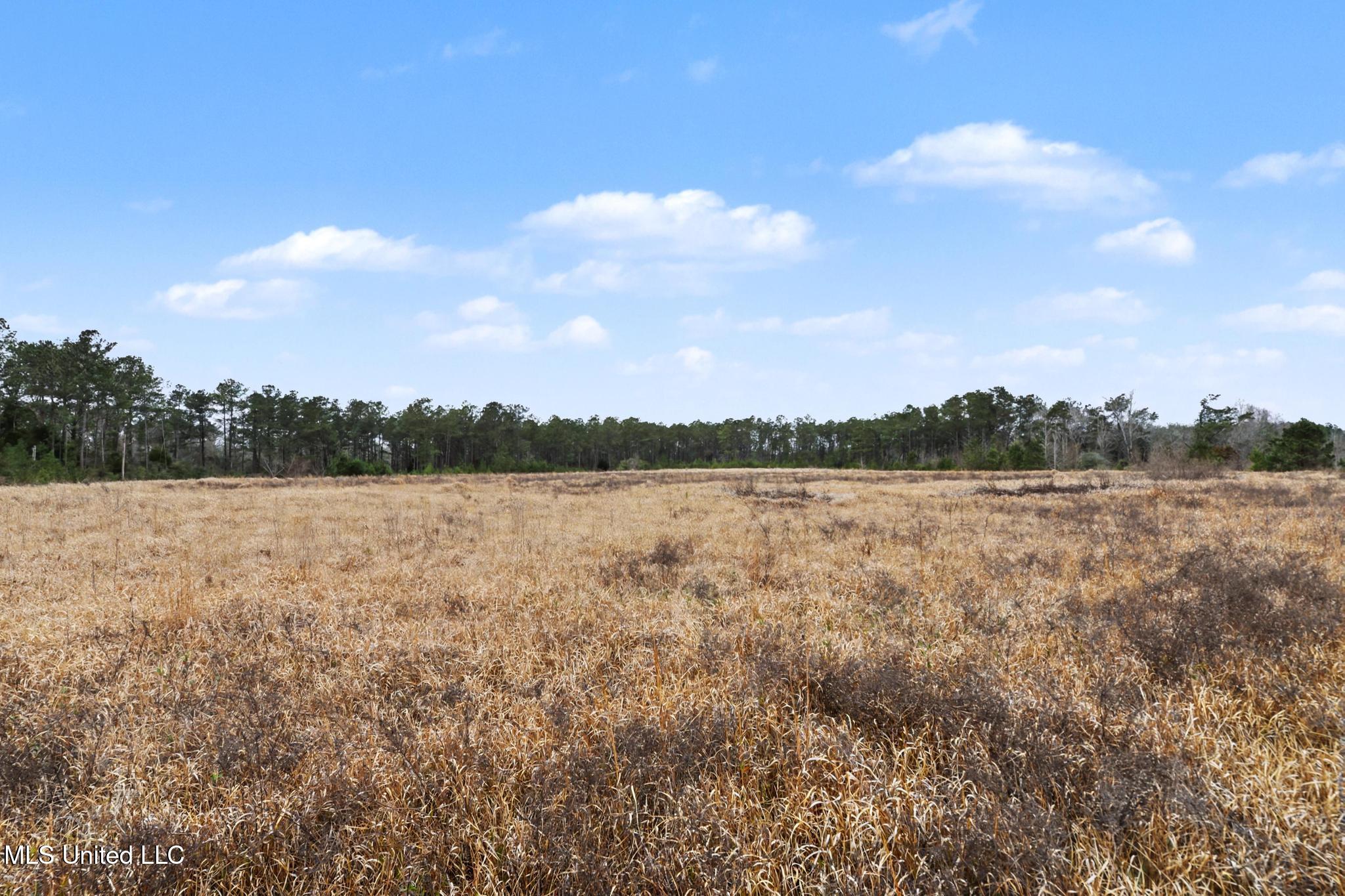 98 US Highway 98 Lucedale, MS 39452 - Photo 14 of 18 013