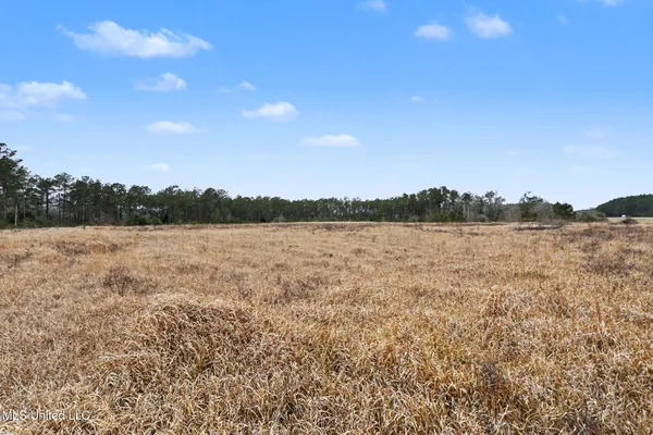 $246,000 | 98 US Highway 98, Lucedale, MS 39452