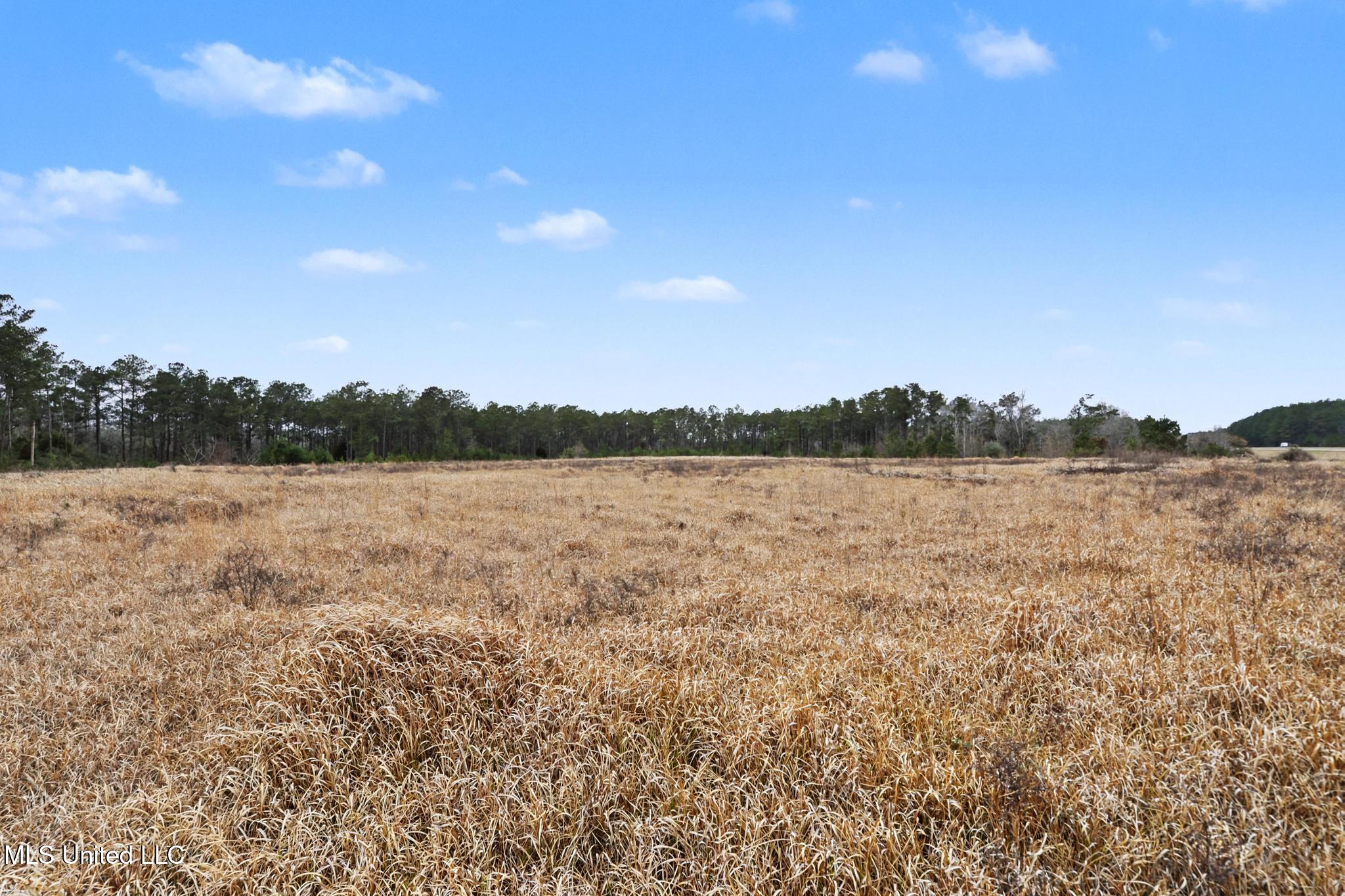 98 US Highway 98 Lucedale, MS 39452 - Photo 15 of 18 014