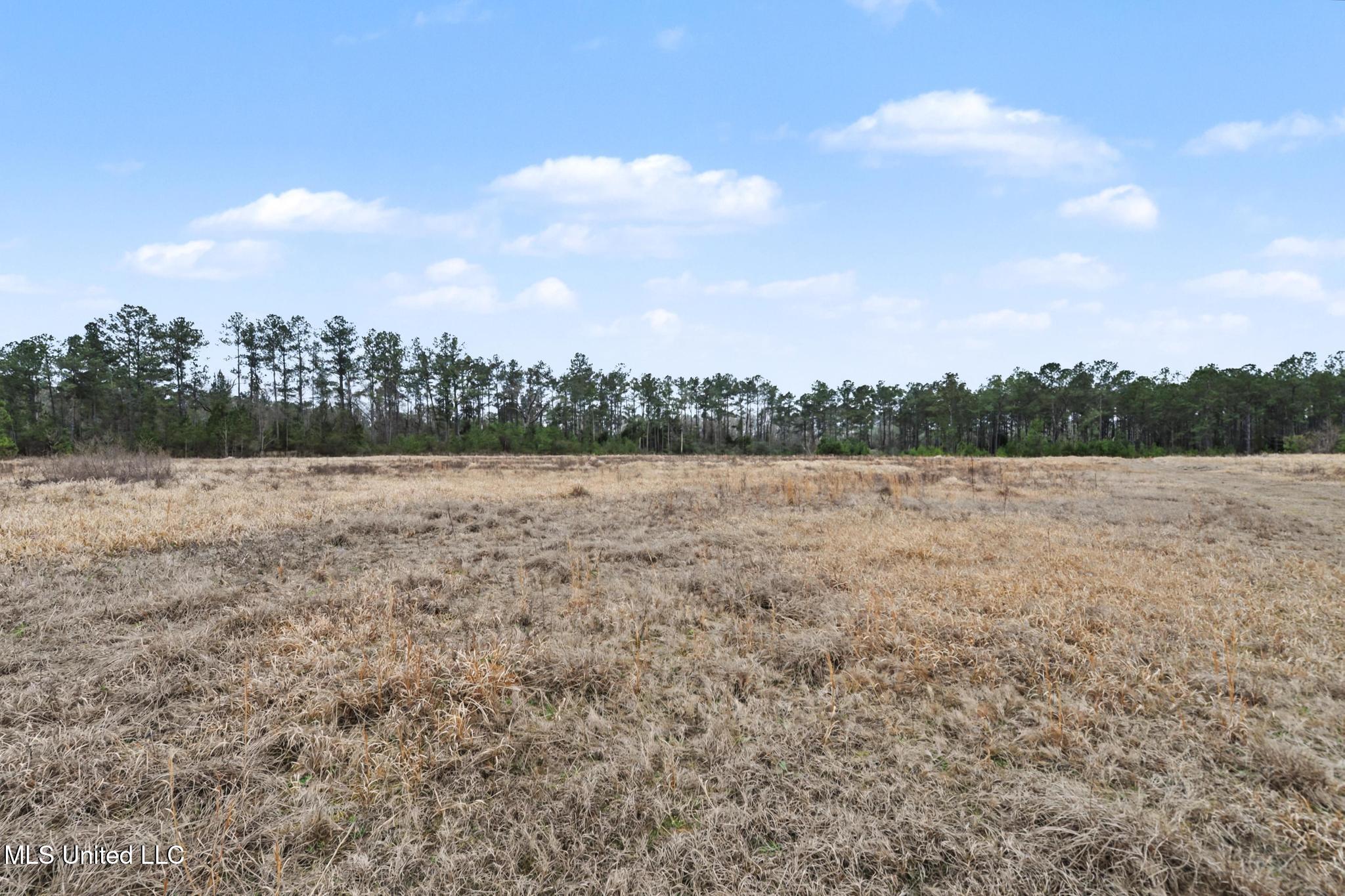 98 US Highway 98 Lucedale, MS 39452 - Photo 16 of 18 015