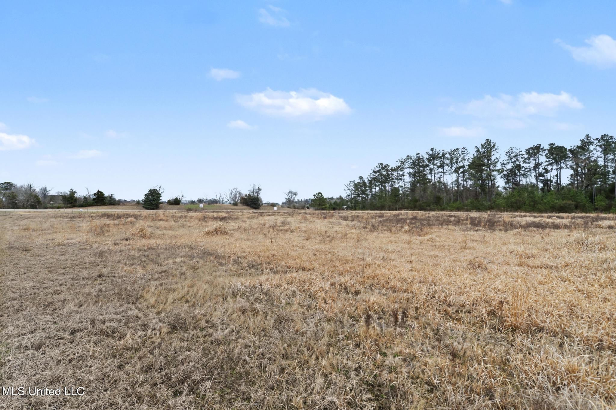 98 US Highway 98 Lucedale, MS 39452 - Photo 17 of 18 016