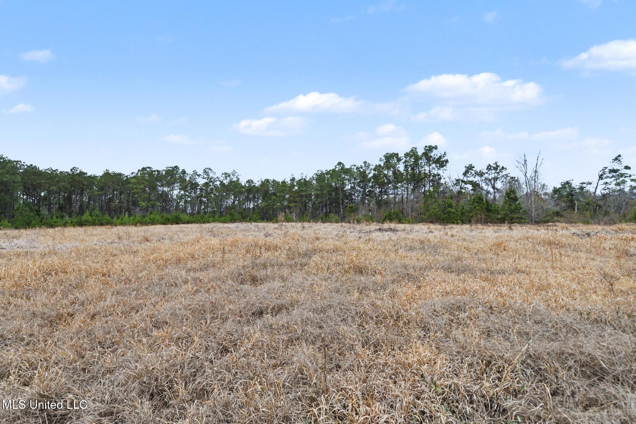 98 US Highway 98 Lucedale, MS 39452 - Photo 18 of 18 017