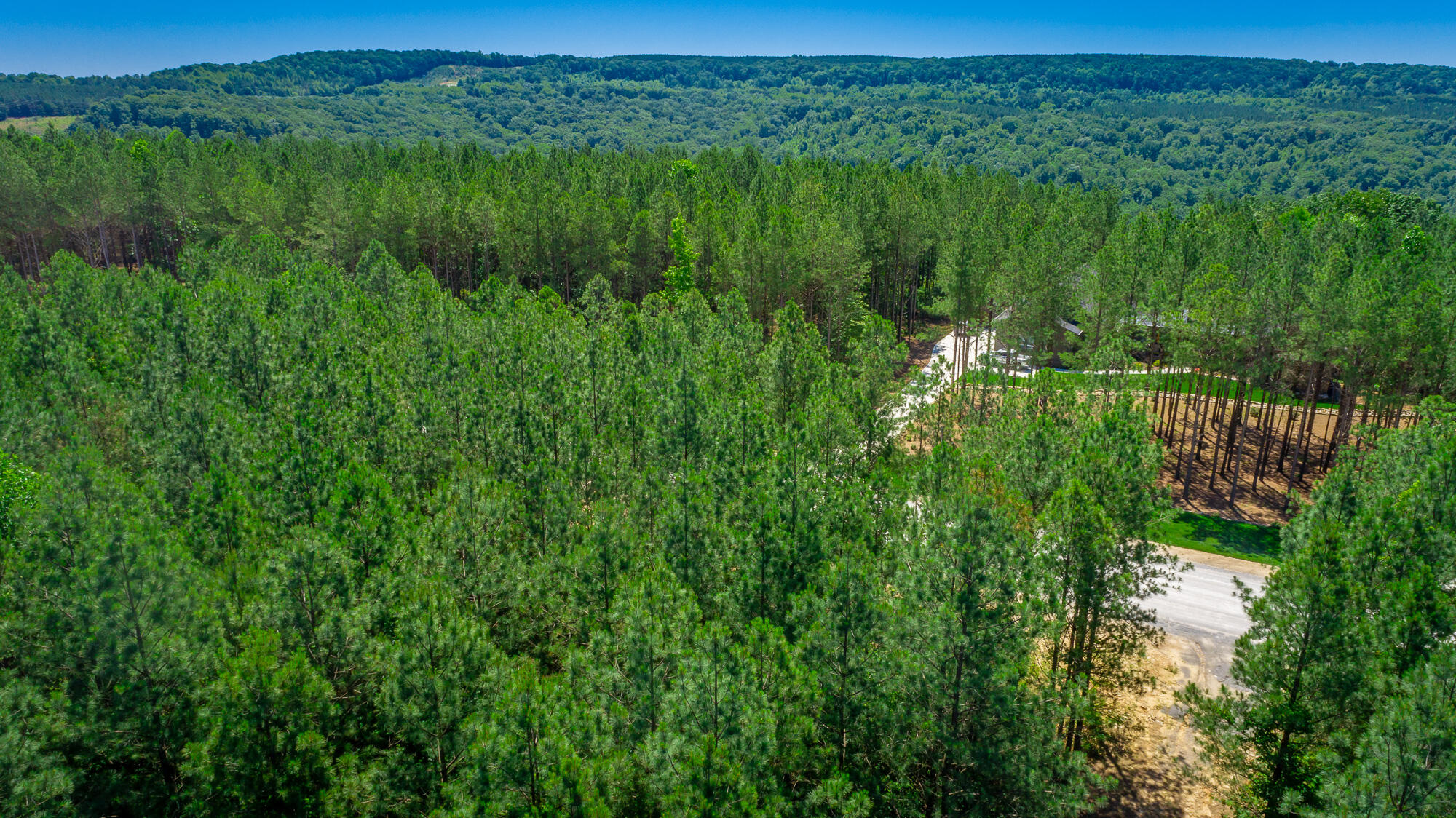 0 Split Rail Way, Unit LOT 1163 Guild, TN 37340 - Photo 70 of 118 River Gorge Lot 1163 HD-76