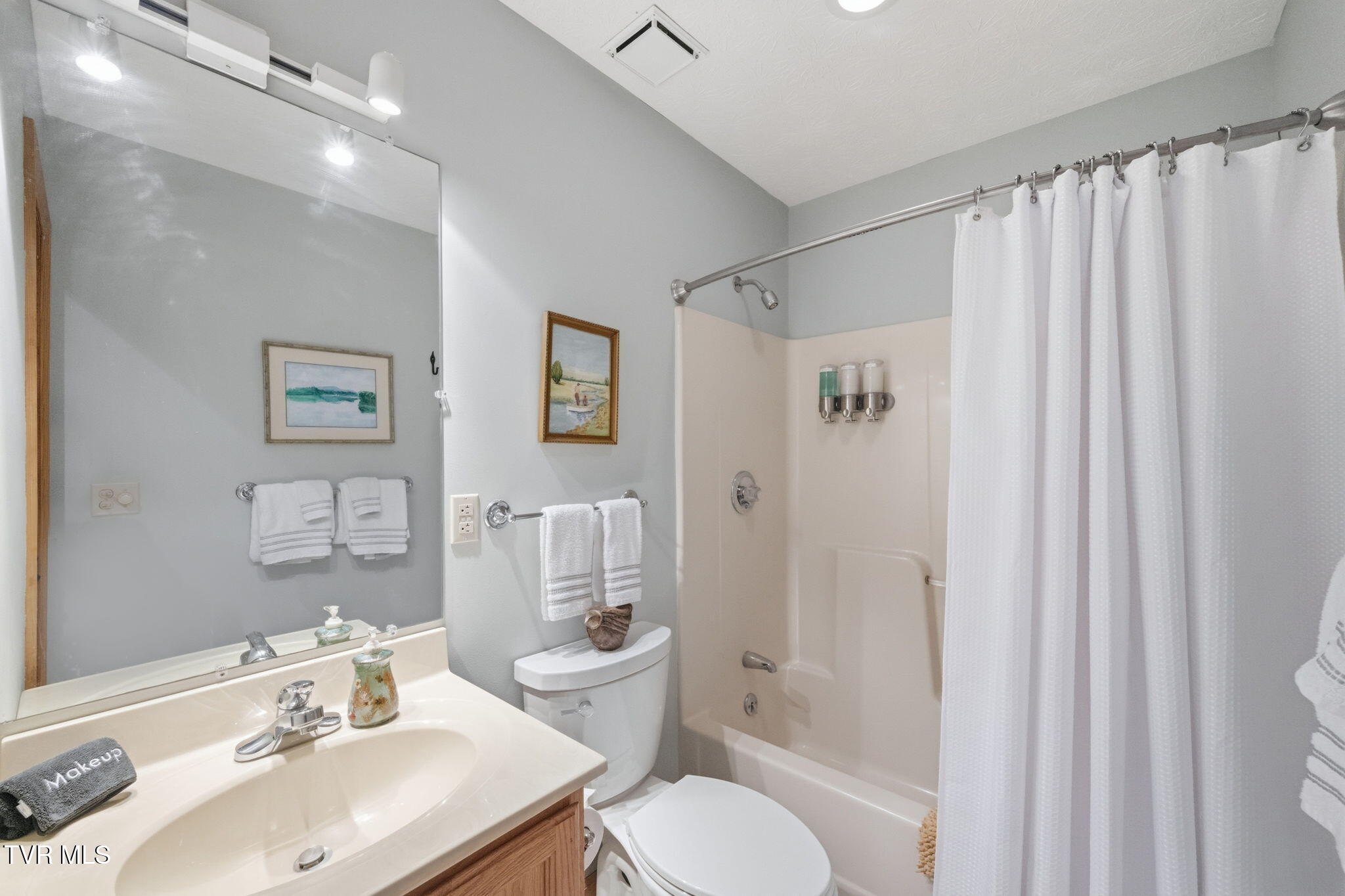 237 Candlewood Lane Butler, TN 37640 - Photo 25 of 42 Bathroom 2