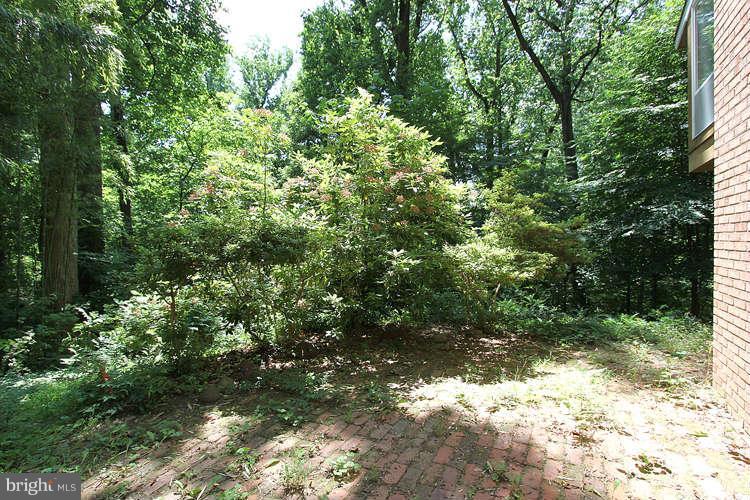 5423 Mohican Road Bethesda, MD 20816 - Photo 19 of 21 View