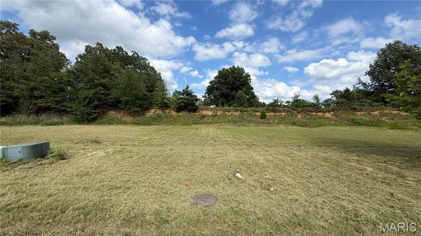 $32,900 | 0 Palm Tree Drive, Poplar Bluff, MO 63901