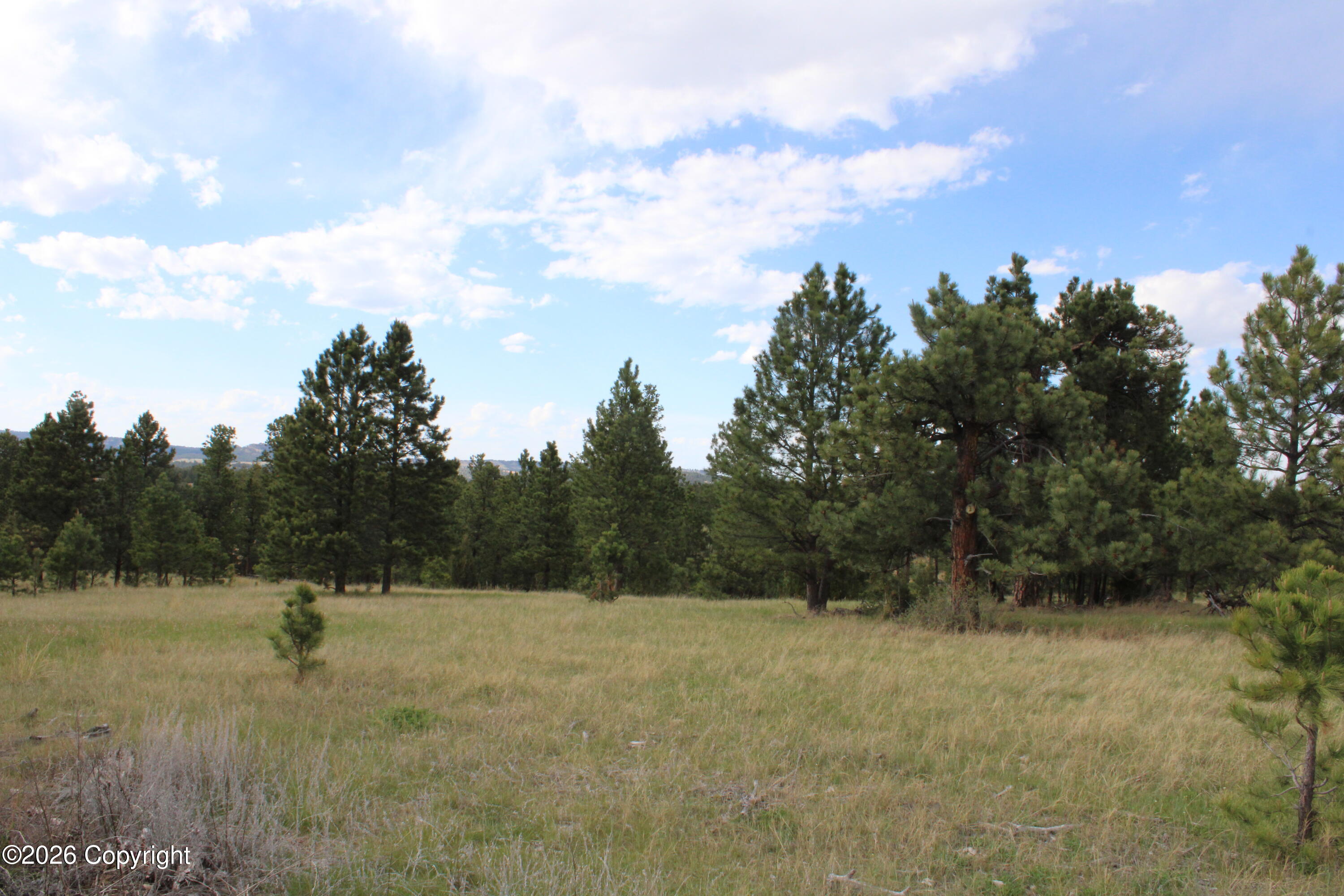 9 River Road Alva, WY 82711 - Photo 24 of 43 Gallery Image 24