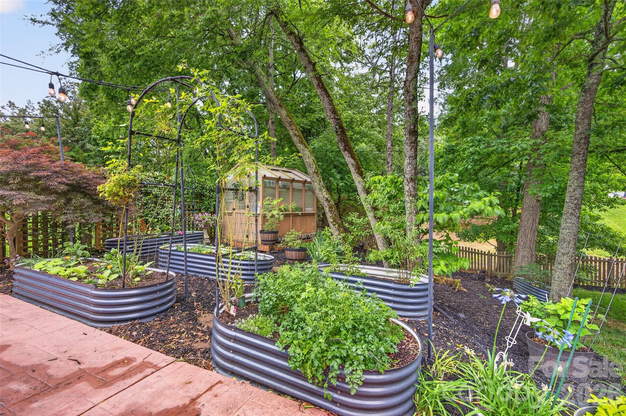 10502 Hellebore Road Charlotte, NC 28213 - Photo 40 of 48 a view of a backyard with garden and plants