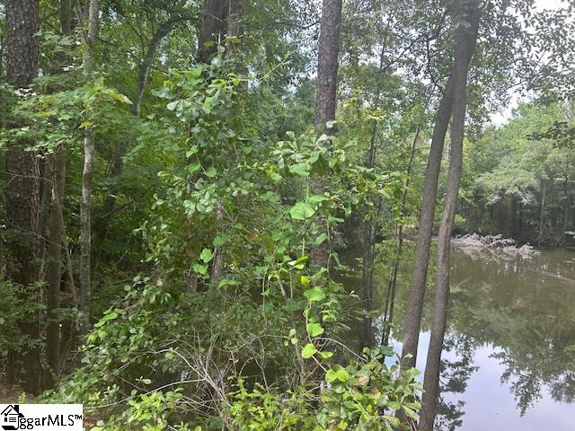 0 Manantial Road Lamar, SC 29069 - Photo 2 of 2 Gallery Image 2