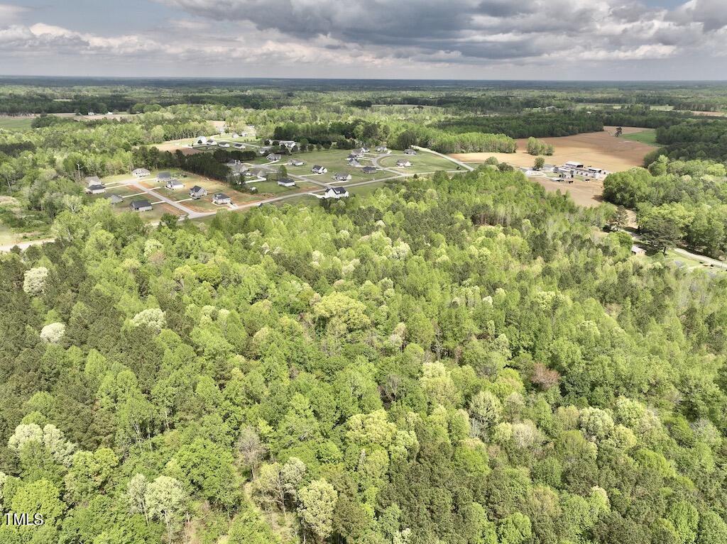 0 Red Road Nashville, NC 27856 - Photo 38 of 45 38