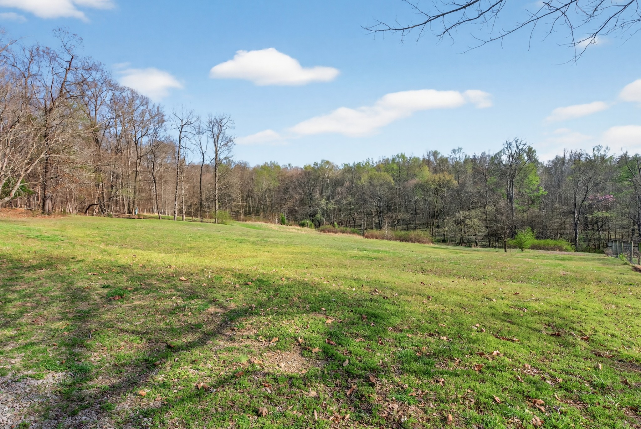 1874 Palmyra Road Palmyra, TN 37142 - Photo 75 of 99