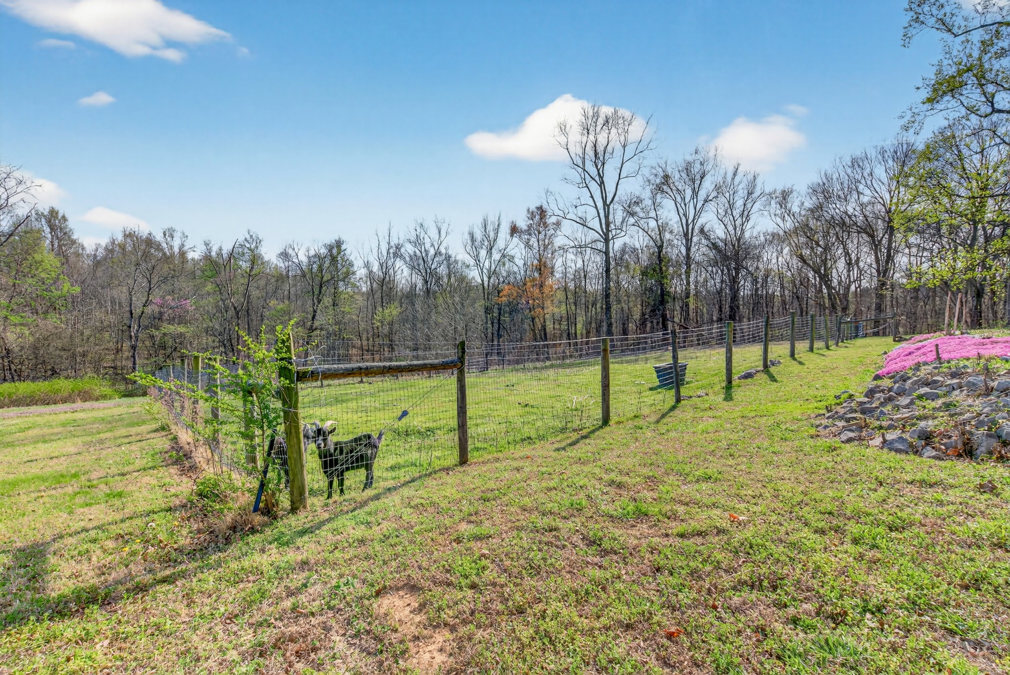 1874 Palmyra Road Palmyra, TN 37142 - Photo 77 of 99