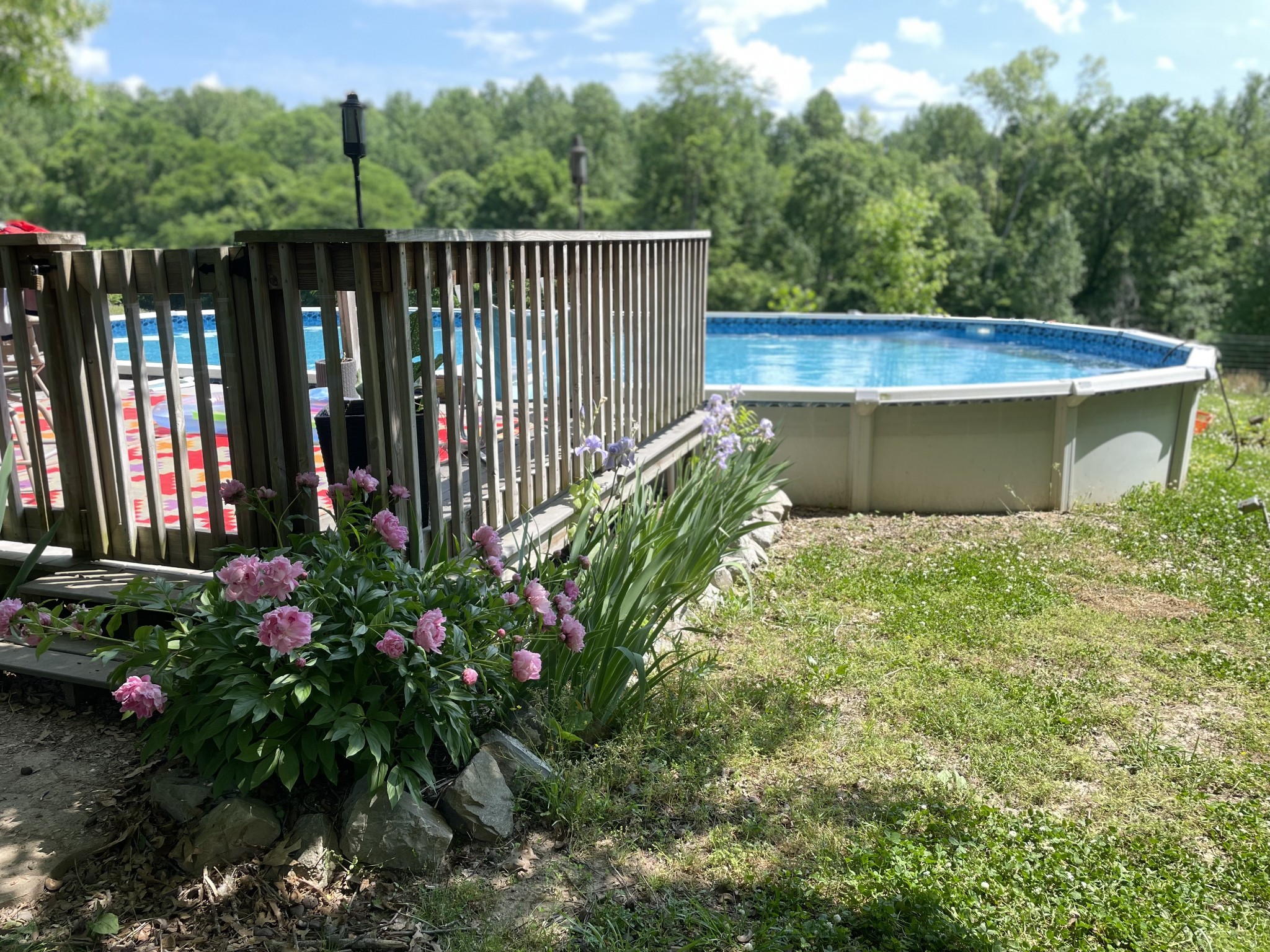 1874 Palmyra Road Palmyra, TN 37142 - Photo 78 of 99