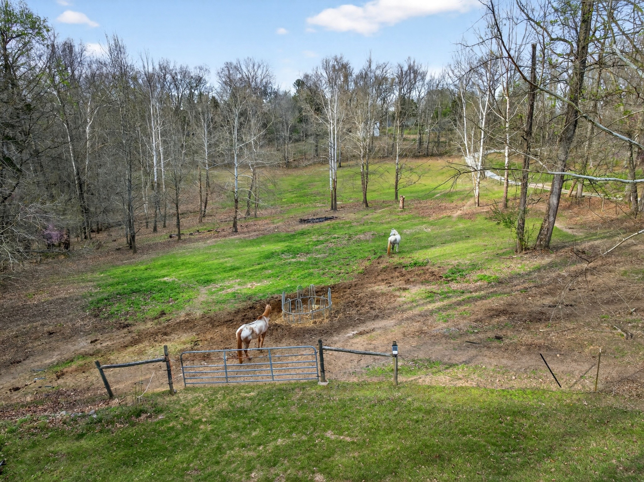 1874 Palmyra Road Palmyra, TN 37142 - Photo 80 of 99