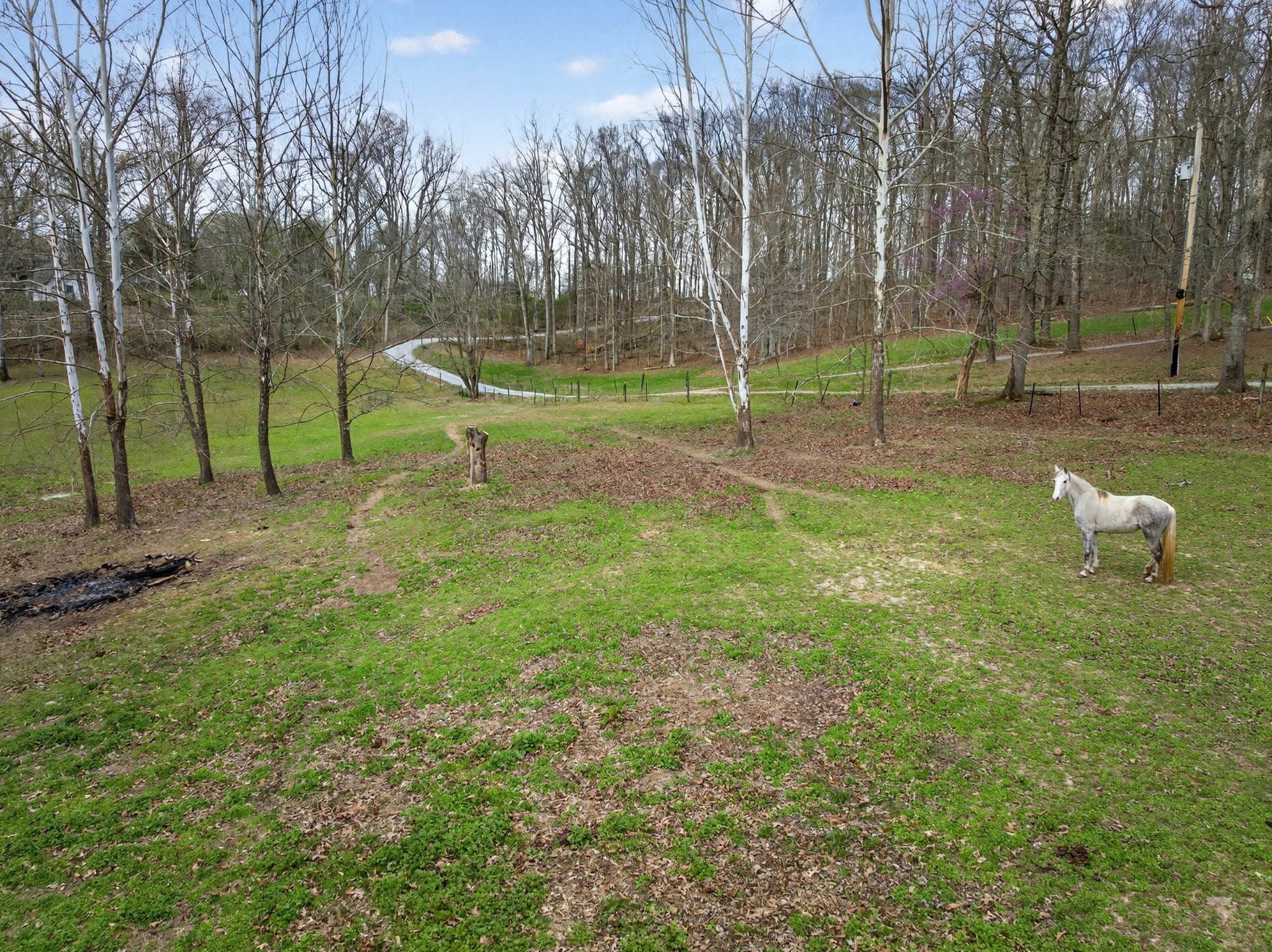 1874 Palmyra Road Palmyra, TN 37142 - Photo 83 of 99