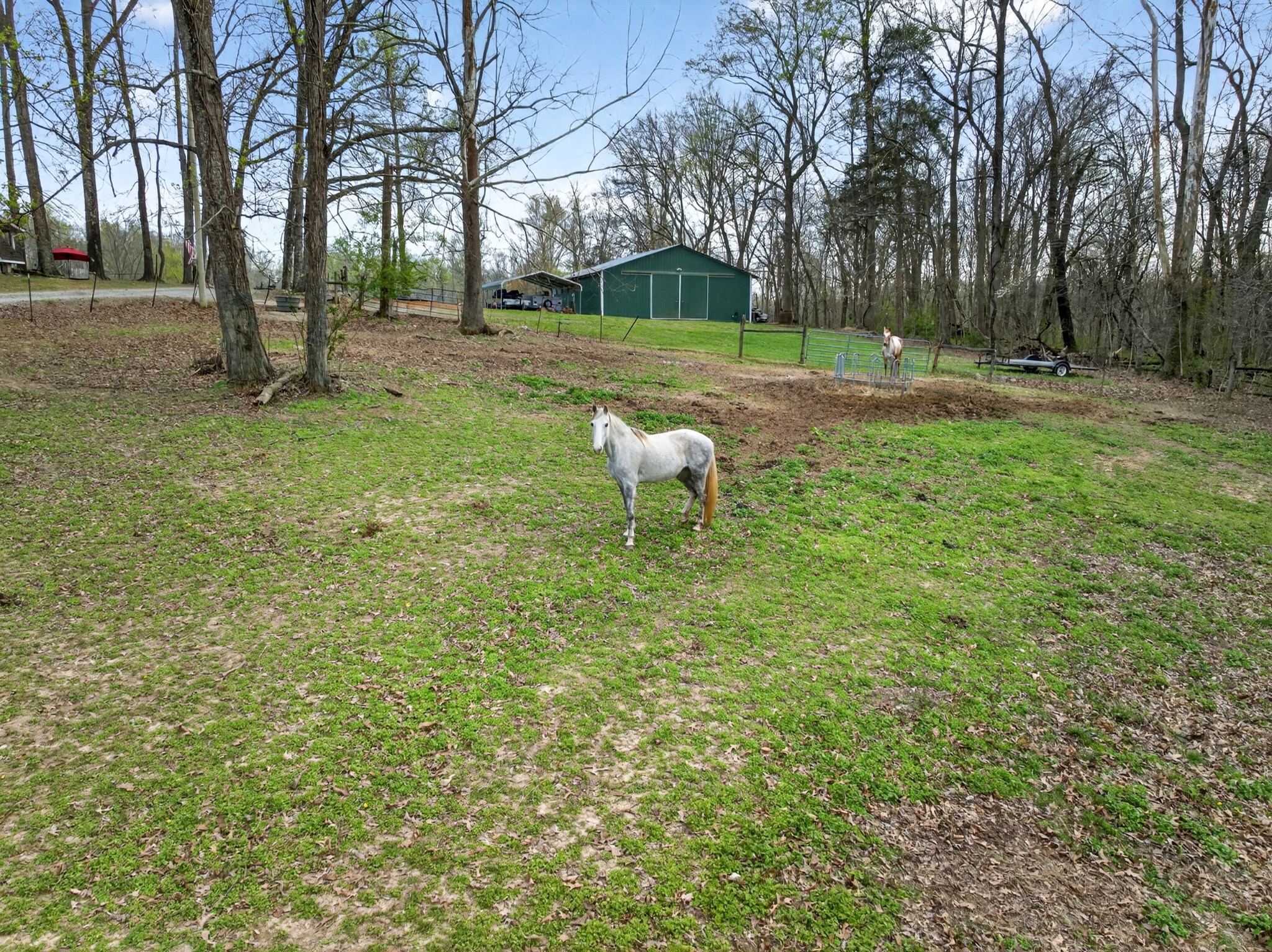 1874 Palmyra Road Palmyra, TN 37142 - Photo 84 of 99