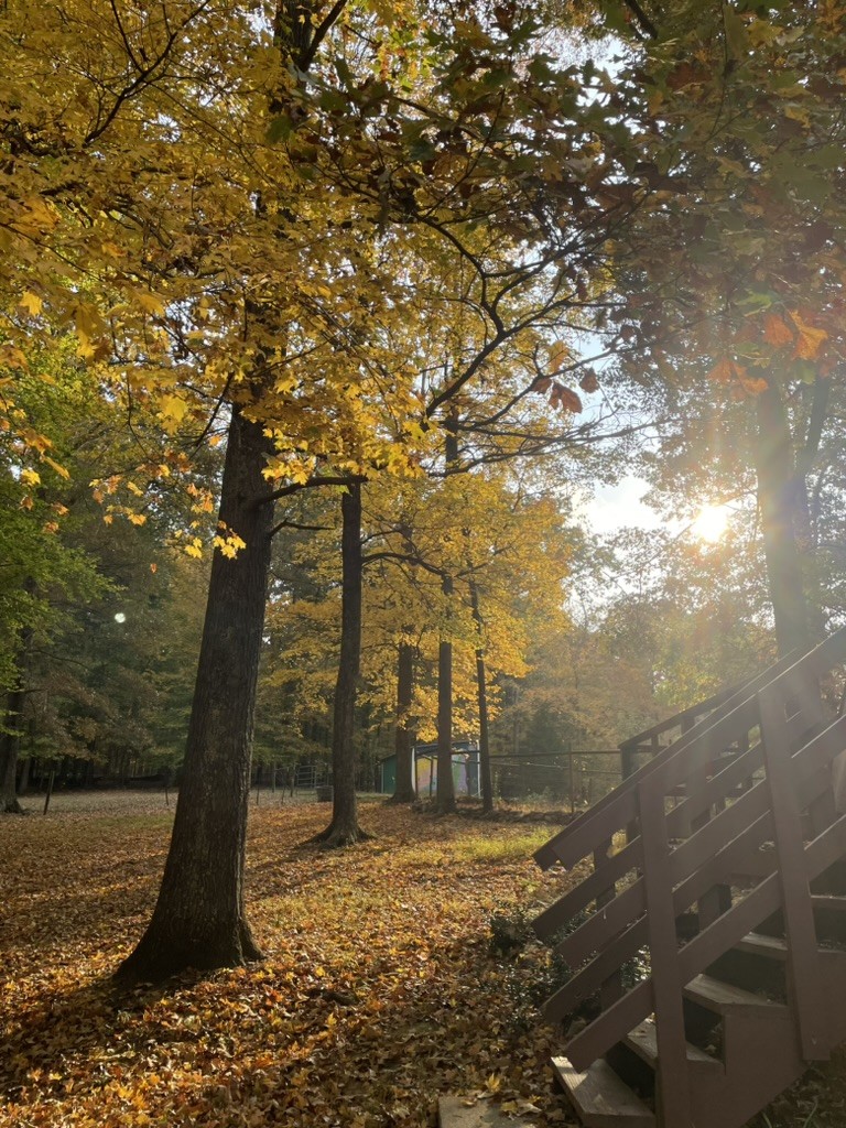 1874 Palmyra Road Palmyra, TN 37142 - Photo 90 of 99