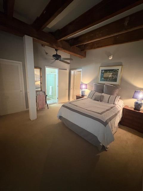 3 Queen Street, Unit 313 Charleston, SC 29401 - Photo 10 of 16 IMG_8180