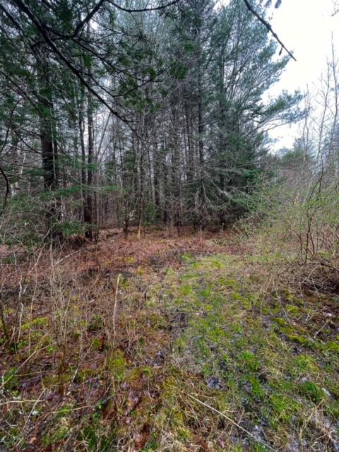 28 Plummer Road Richmond, ME 04357 - Photo 19 of 25 image0
