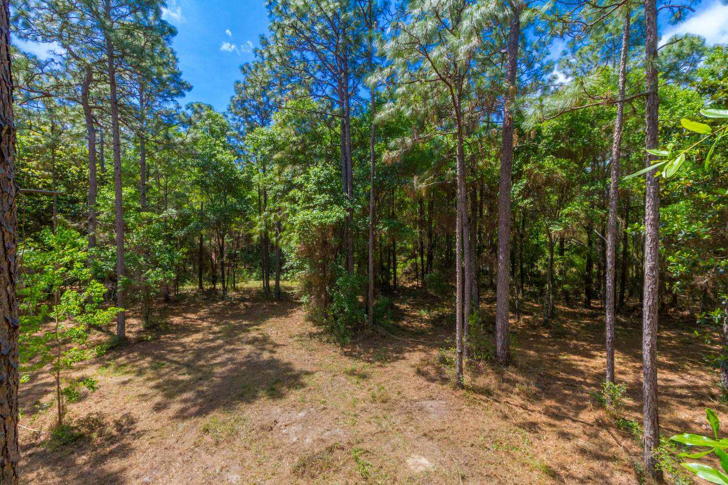 8844 Red Fish Pt Road Lillian, AL 36549 - Photo 9 of 16