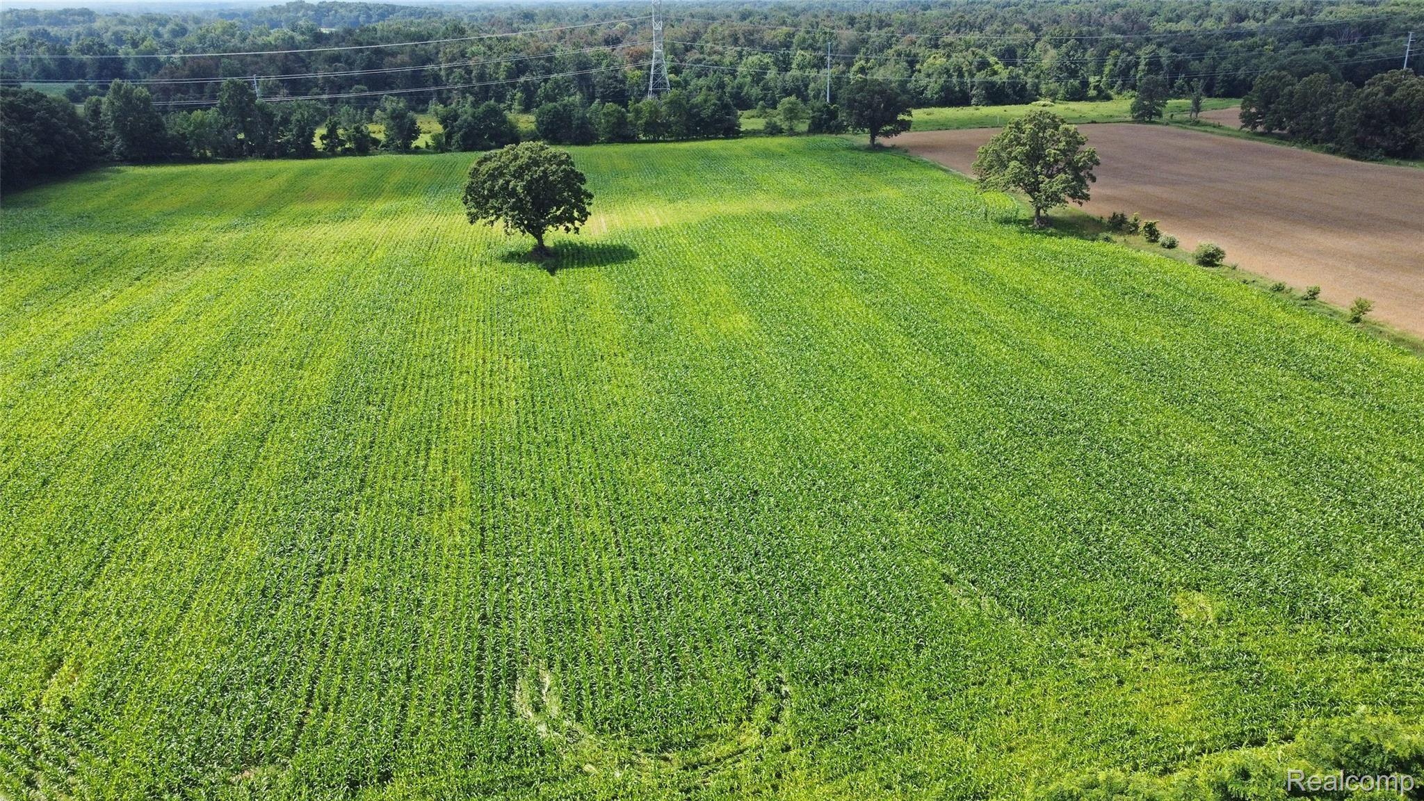 4223 Merwin Road Lapeer, MI 48446 - Photo 78 of 83 77) Aerial Field.jpg