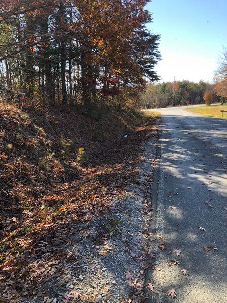 a view of a yard with a lake view