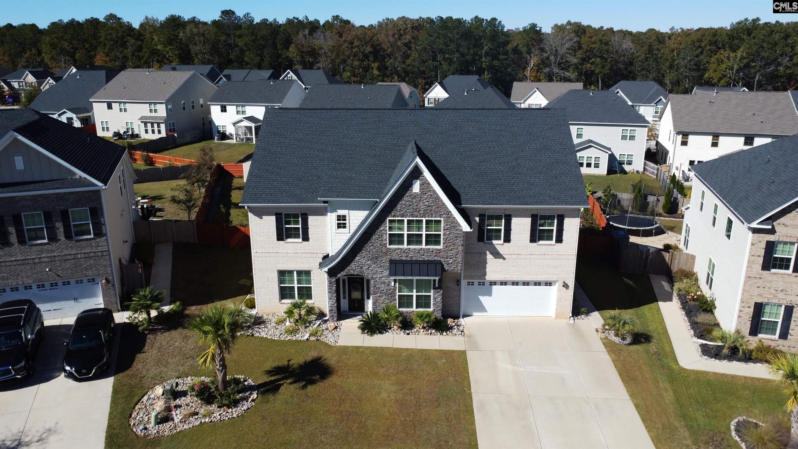 175 Almofini Lane Chapin, SC 29036 - Photo 3 of 61