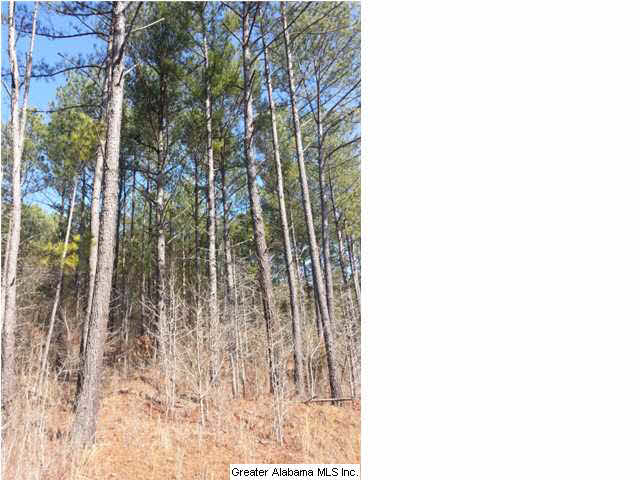 267 County Road, Unit 53 Lanett, AL 36863 - Photo 4 of 9