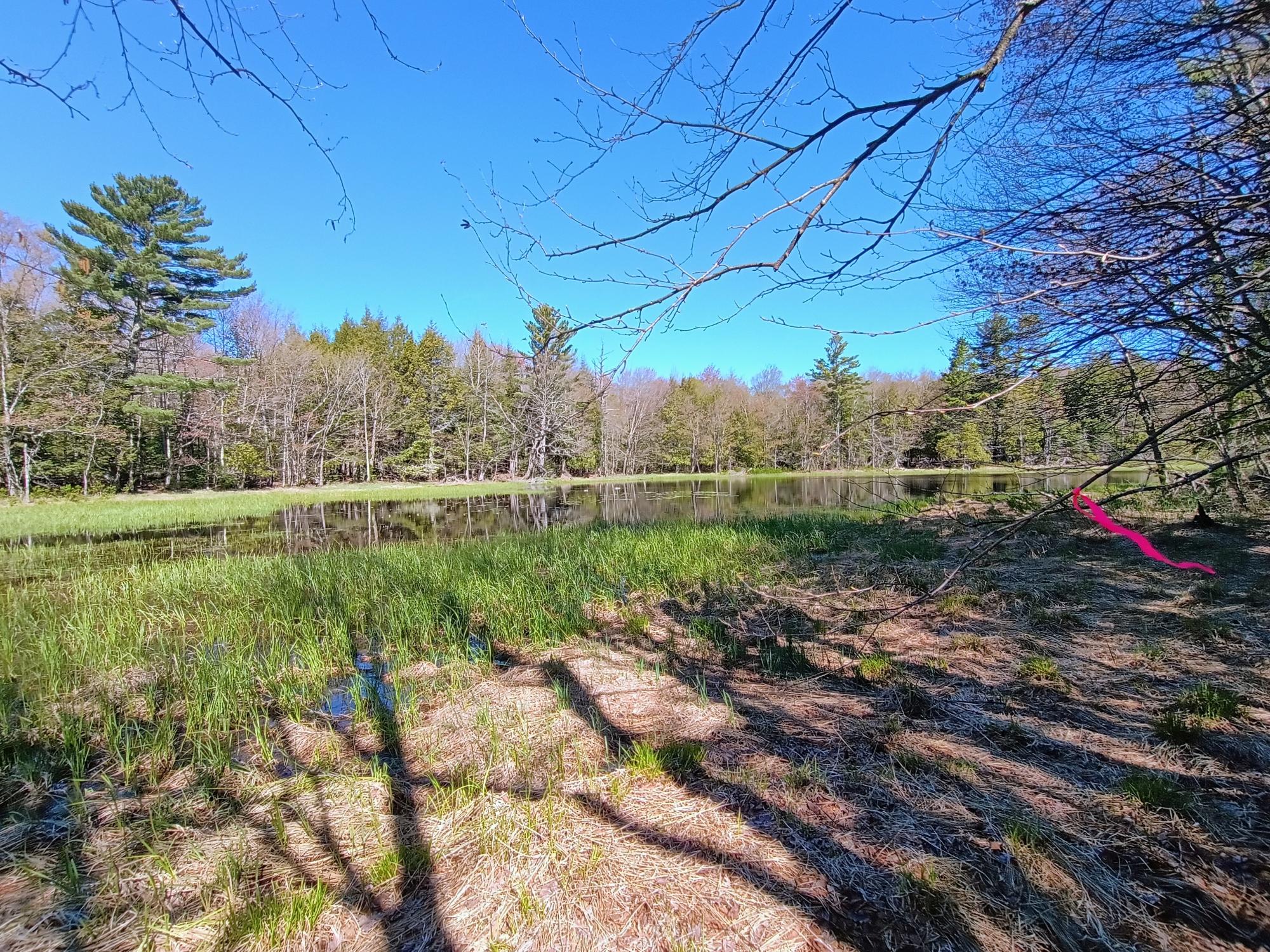 40-ac On Nig Rein Road, Unit 40 AC Glidden, WI 54527 - Photo 5 of 26 Gallery Image 5