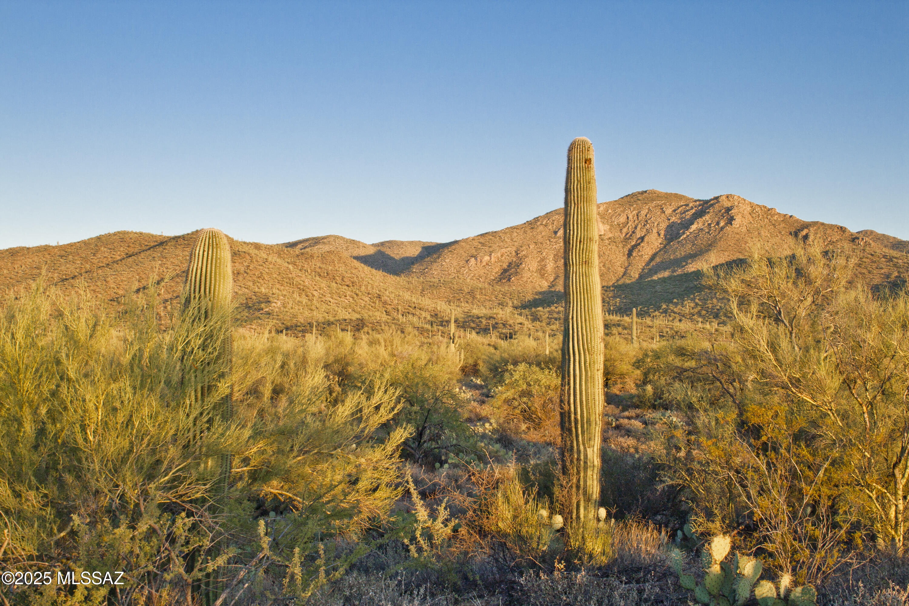 0 Silverian Road Marana, AZ 85658 - Photo 8 of 32
