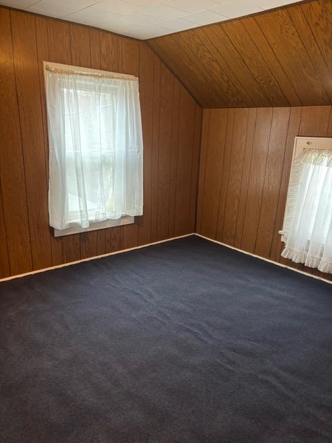206 Fremont Street Boscobel, WI 53805 - Photo 20 of 23