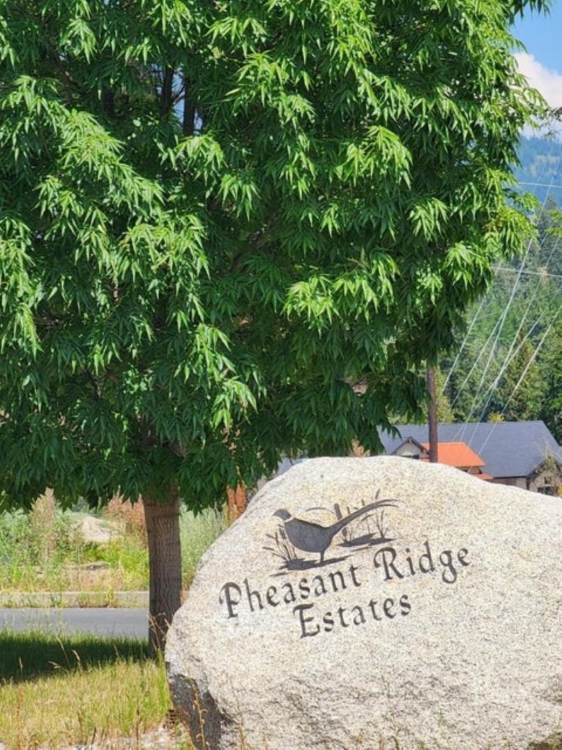 2058 Ringneck Loop Colville, WA 99114 - Photo 8 of 8