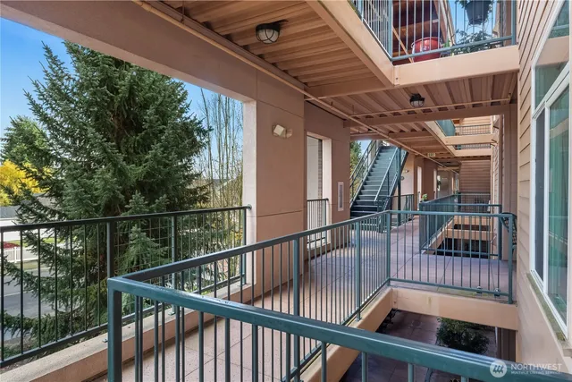 a potted plant sitting in front of a house