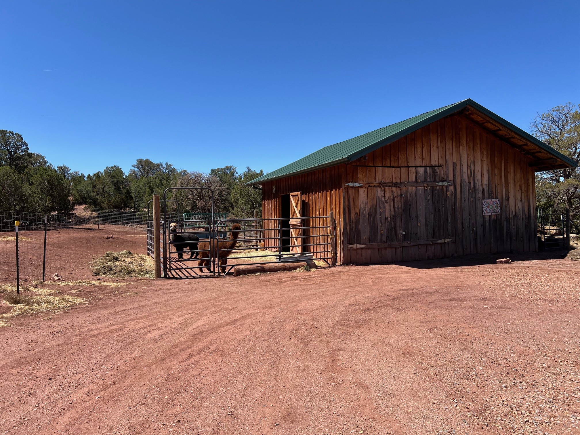 29 County Road B41E Ribera, NM 87560 - Photo 8 of 51 Stable with alpacas