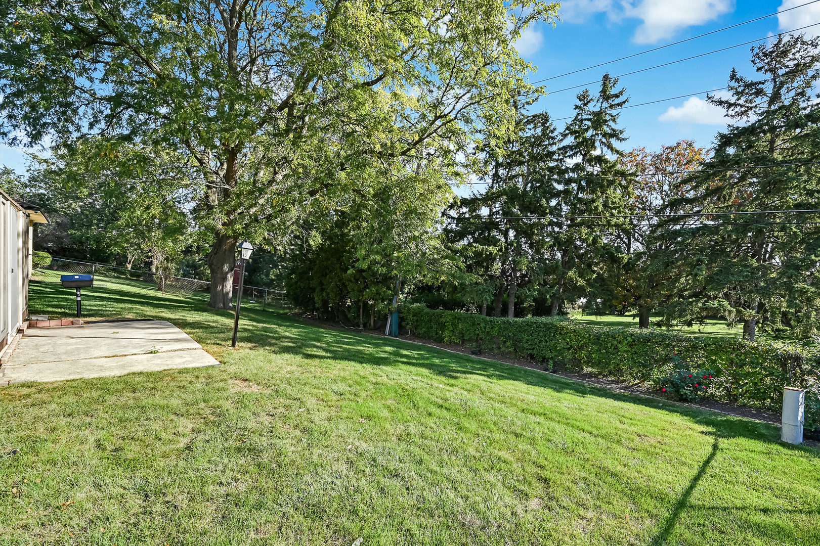 6725 Richmond Avenue Darien, IL 60561 - Photo 24 of 25 a view of a park with large trees