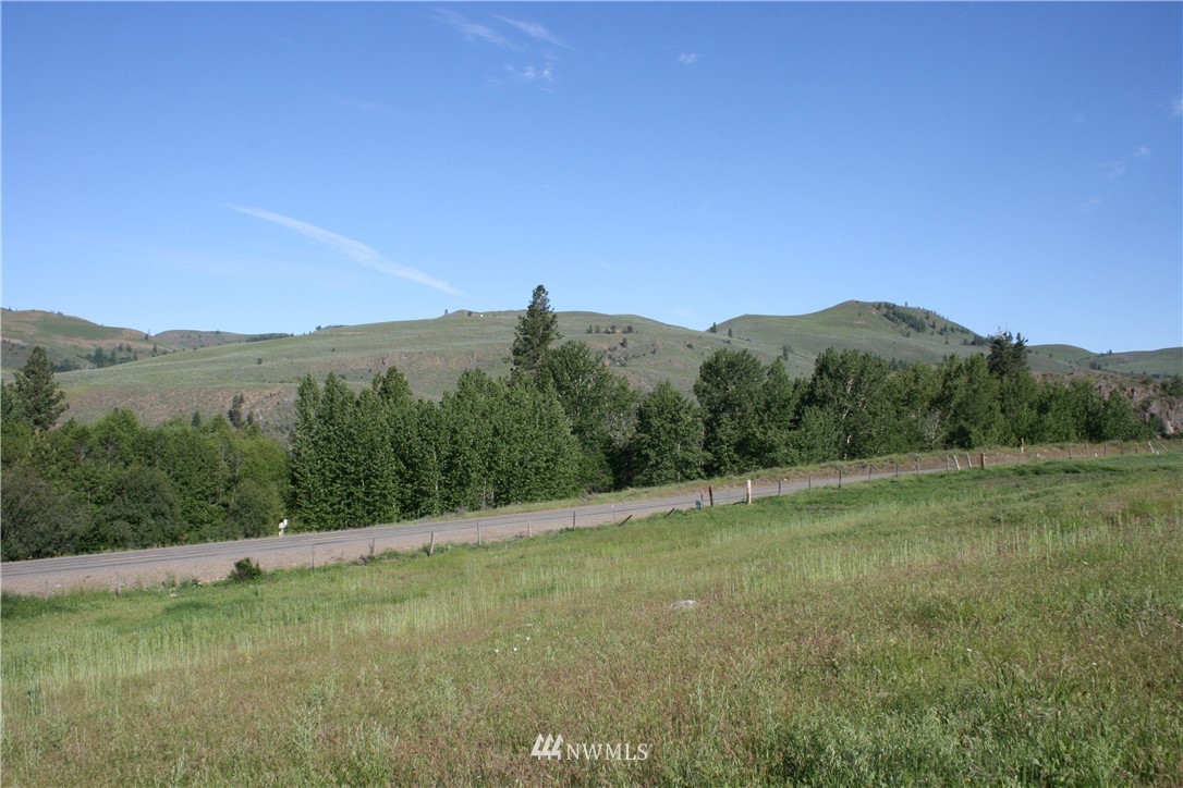 362 Eastside Chewuch Road Winthrop, WA 98862 - Photo 18 of 25 Gallery Image 18