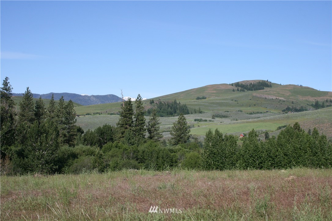 362 Eastside Chewuch Road Winthrop, WA 98862 - Photo 19 of 25 Gallery Image 19