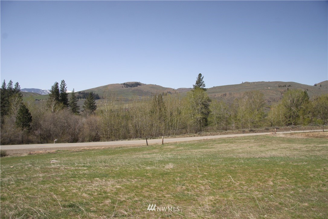 362 Eastside Chewuch Road Winthrop, WA 98862 - Photo 3 of 25 Gallery Image 3