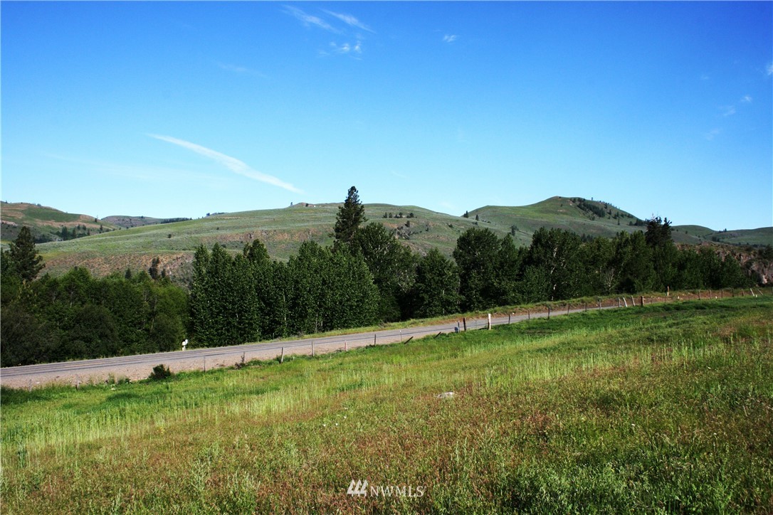 362 Eastside Chewuch Road Winthrop, WA 98862 - Photo 23 of 25 Gallery Image 23