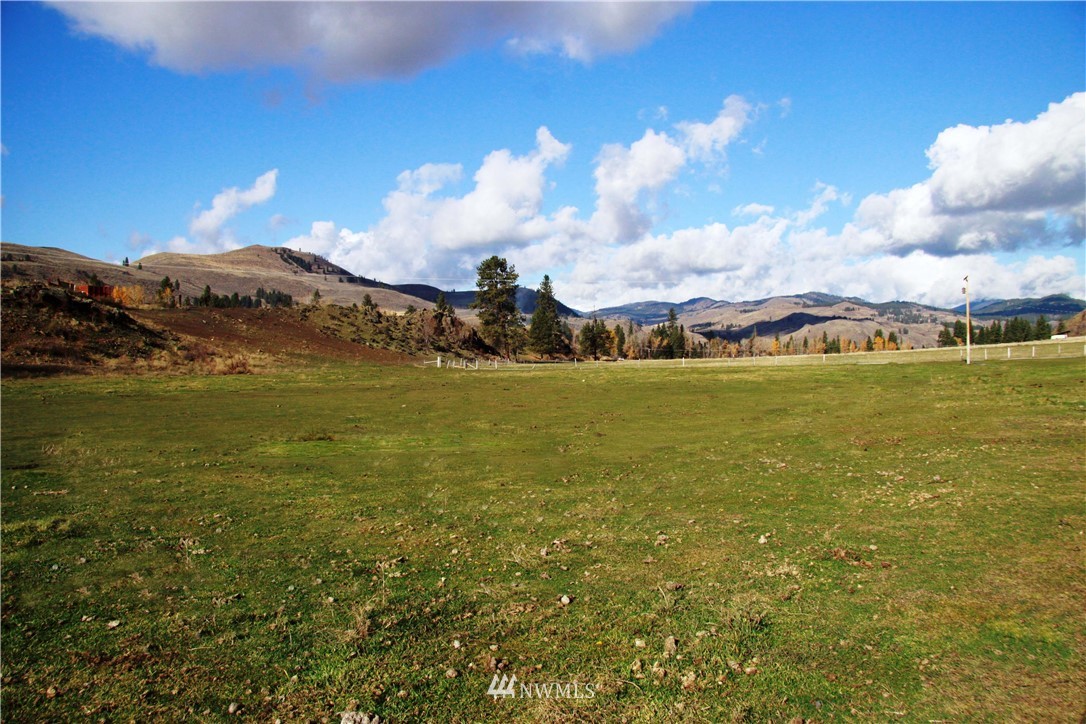 362 Eastside Chewuch Road Winthrop, WA 98862 - Photo 24 of 25 Gallery Image 24