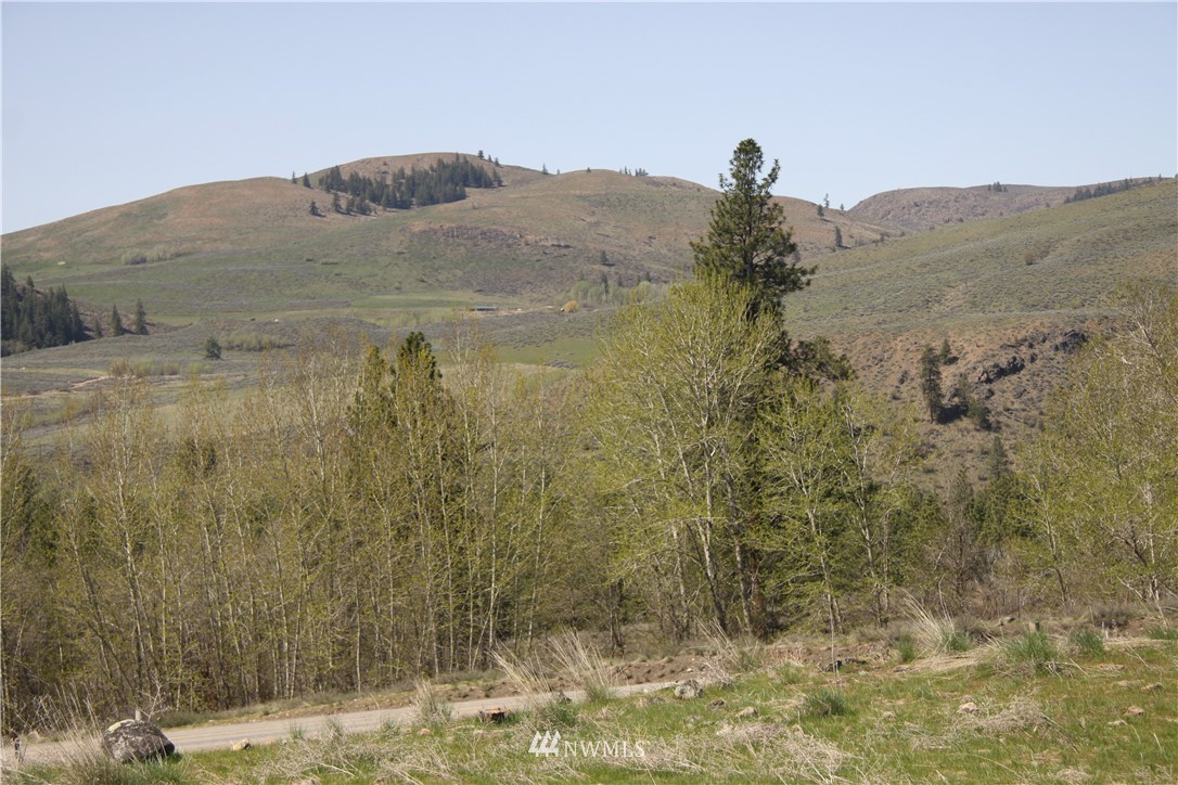 362 Eastside Chewuch Road Winthrop, WA 98862 - Photo 4 of 25 Gallery Image 4