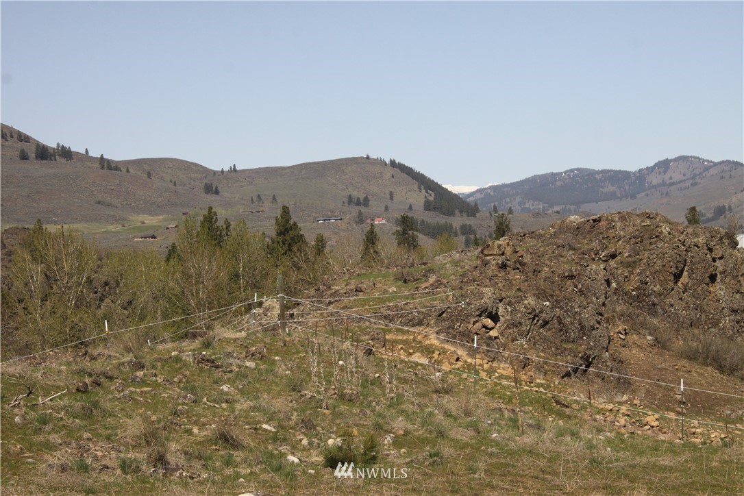 362 Eastside Chewuch Road Winthrop, WA 98862 - Photo 7 of 25 Gallery Image 7