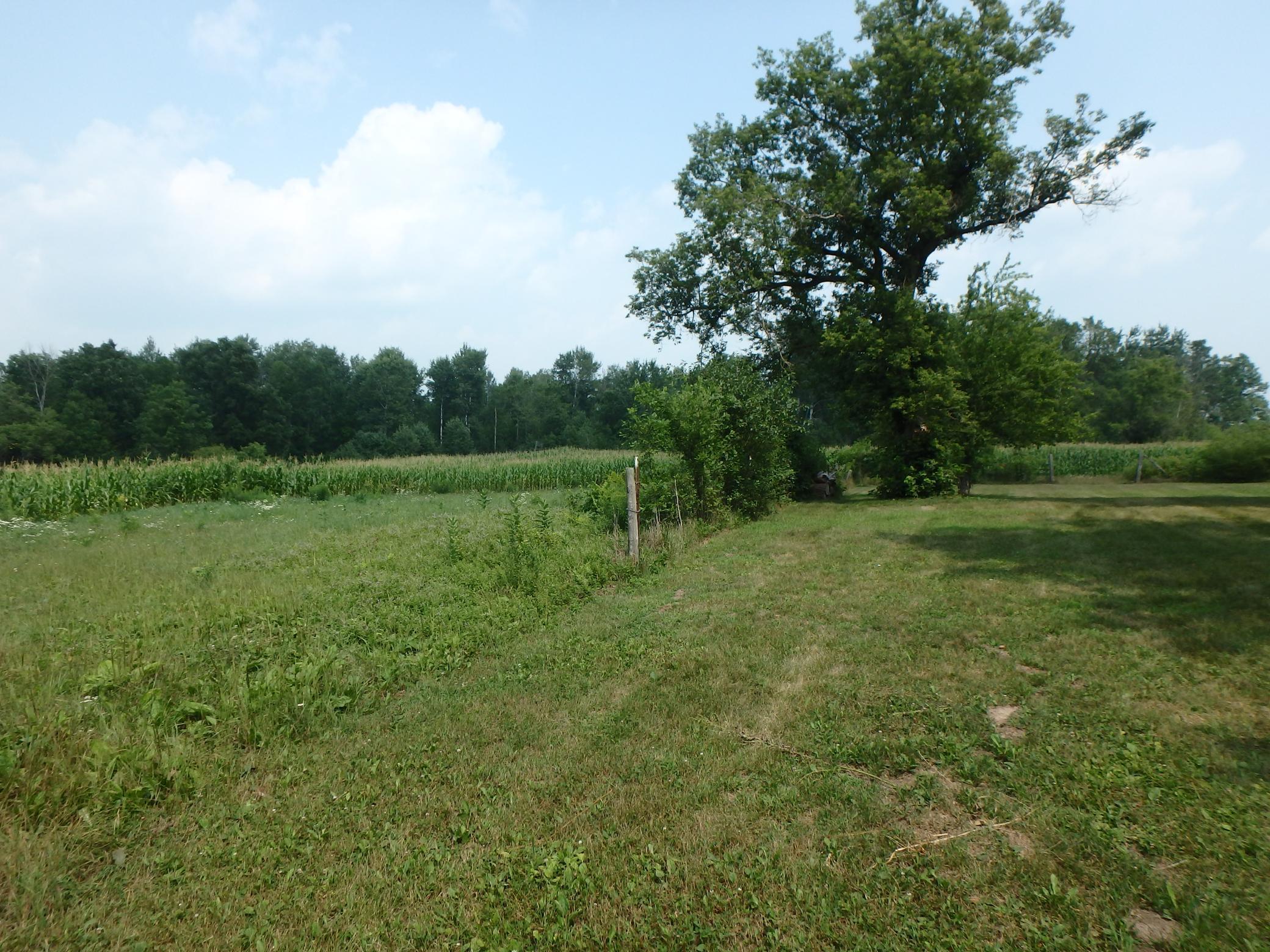 48 & Co Road Rice Lake, WI 54868 - Photo 1 of 1