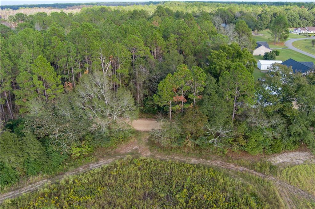 284 Barrett Road Sparks, GA 31647 - Photo 6 of 8